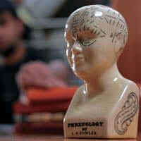a Phrenology head