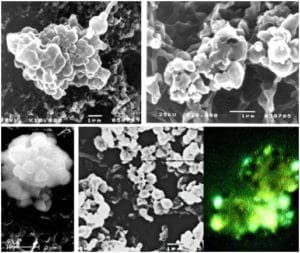 Organic-particles Organic particles