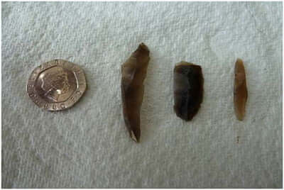 Mesolithic-tools