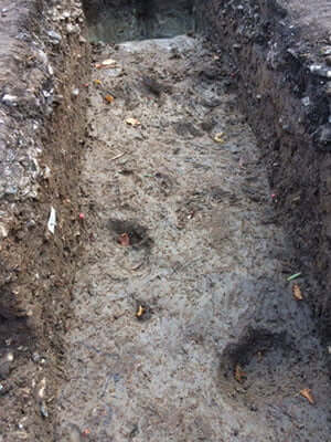 Aurochs hoof prints