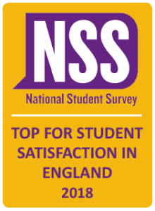 NSS badge 2018