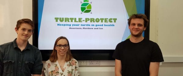 EIBF Turtle Project
