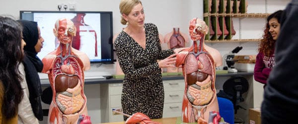 Medical students using anatomy models