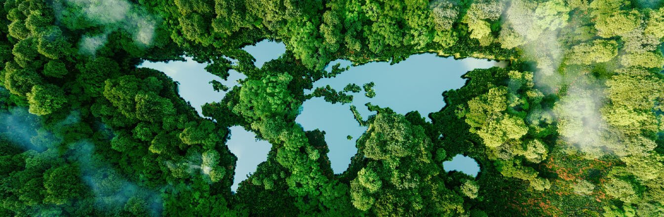 Image of forest with water in the shape of countries, representing the importance of earth's environment