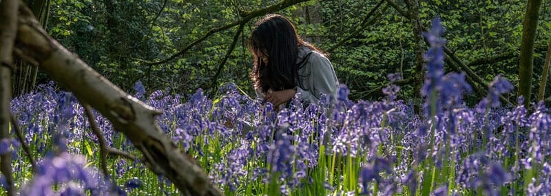 Madara sitting amongst bluebells